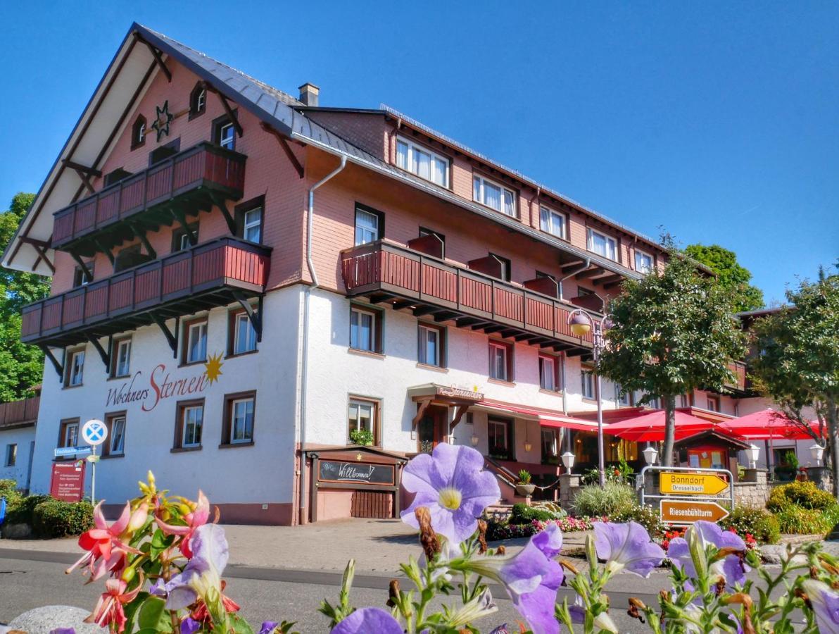 Wochner'S Hotel-Sternen Am Schluchsee Hochschwarzwald Extérieur photo